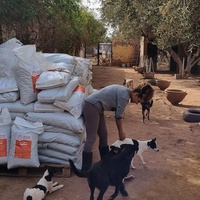 photo de livraison pour Help Adopt Moroccan Animals