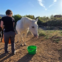 photo de livraison pour La Retraite des Chevaux des Causses