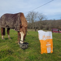 photo de livraison pour Haras d'Ealmy