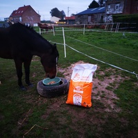 photo de livraison pour Assocheval