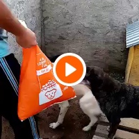 photo de livraison pour Daniela Elena Sandoiu