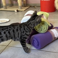 photo de livraison pour APATE