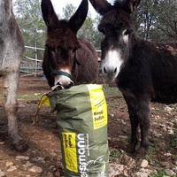 photo de livraison pour Equi-Vivre
