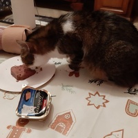 photo de livraison pour Cha'alors