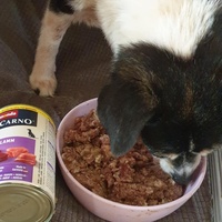 photo de livraison pour AVRAH