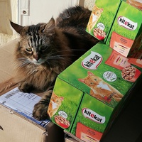 photo de livraison pour Ch'tatrap