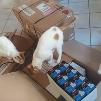 photo de livraison pour Une Maison pour la Vie
