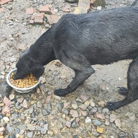 photo de livraison pour Svetlana Bjelogrlic