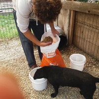 photo de livraison pour Innocente
