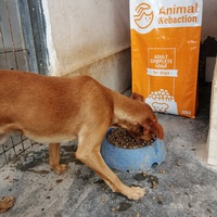 photo de livraison pour Cambiando Miradas