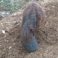 photo de livraison pour Ulyan