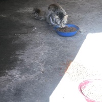 photo de livraison pour Hajar Aourz