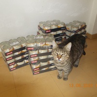photo de livraison pour Chats Libres des Hauts Cantons de l'Hérault