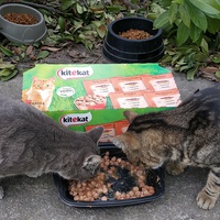 photo de livraison pour happy leo aide aux animaux