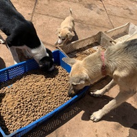 photo de livraison pour ADAN