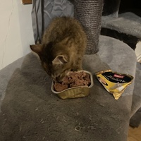 photo de livraison pour Asso 80 La Patte dans la Main