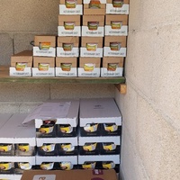 photo de livraison pour L'école du Chat d'Ollioules
