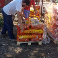 photo de livraison pour Nobody's Dog France