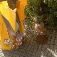 photo de livraison pour Hajar Aourz
