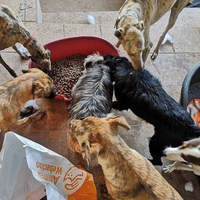 photo de livraison pour Stichting Arpa Nederland