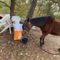photo de livraison pour Equi-Vivre