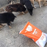 photo de livraison pour Anca Timpeanu