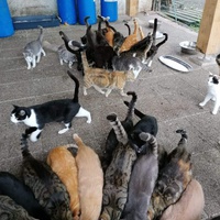 photo de livraison pour L'Arche de Maddy