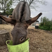 photo de livraison pour Tabula Rasa