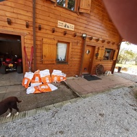 photo de livraison pour Chats errants du val du crenu