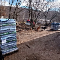 photo de livraison pour Silver Dog Srebrenica