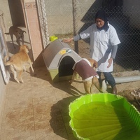 photo de livraison pour SOS Animaux Tunisie