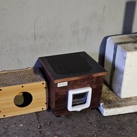 photo de livraison pour Les Chats de Dugny