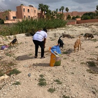 photo de livraison pour L'Arche de Noé