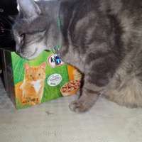 photo de livraison pour Ecole du Chat de la Vallée d'Auge