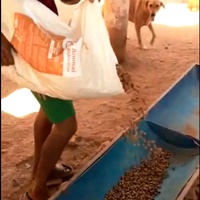 photo de livraison pour Le Coeur sur la Patte
