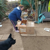 photo de livraison pour Chats Libres de Béziers