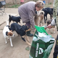 photo de livraison pour Udruženje za zaštitu životinja "Pongo"