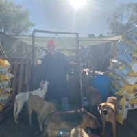 photo de livraison pour ADAN TETOUAN