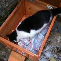 photo de livraison pour Ecole du Chat d’Arbois