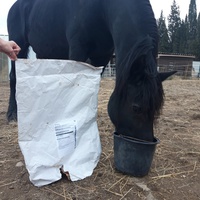 photo de livraison pour Happy Horse Day