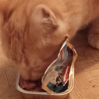 photo de livraison pour Boules d'amour