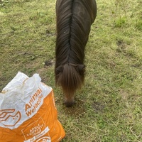 photo de livraison pour Espoir au Galop