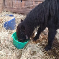 photo de livraison pour Ferme du Launay