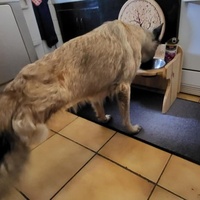 photo de livraison pour AVRAH