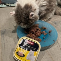 photo de livraison pour SOS COUSSINETS AUDOIS