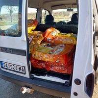 photo de livraison pour Udruženje za zaštitu životinja "Pongo"