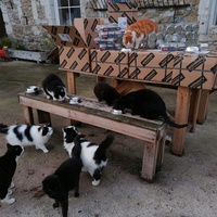 photo de livraison pour Poils et Moustaches