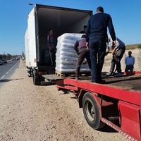 photo de livraison pour 4 Pattes Mogador