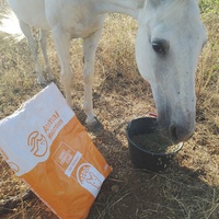 photo de livraison pour Equi-Libre : Droit à la Retraite Equine