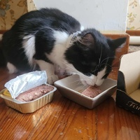 photo de livraison pour Sweety Pets